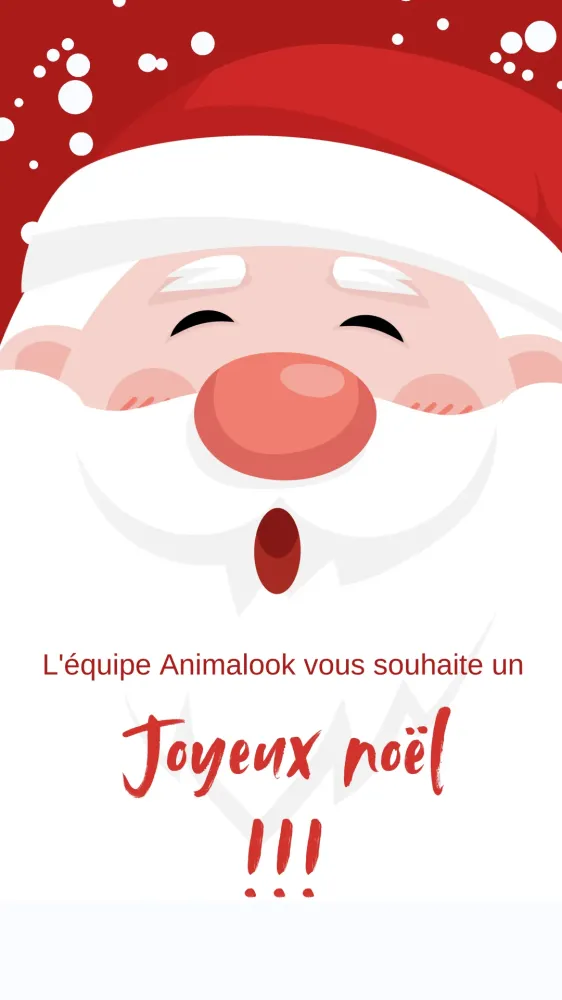 Joyeux Noël et à bientôt !