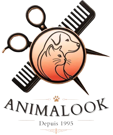 ANIMALOOK-bgless-removebg-preview